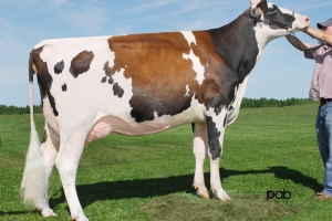 Prabába Aika RDC VG-89