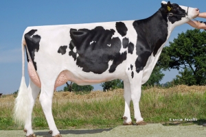 Polosestra babičky - Camil VG-85
