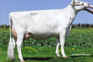 Matka Esmeralda