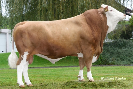 hilfinger-foto-rijen-2021-5