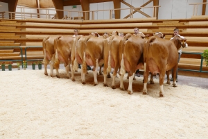Skupina dcer Hilfingera v srpnu 2021