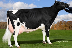 Clear Echo Ramos 1200 EX-94, předchůkyně