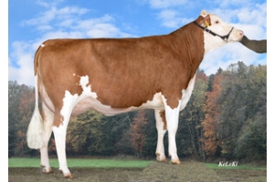 Dcera Heidi
