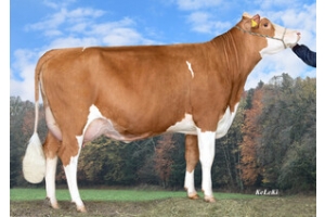 Dcera Letizia