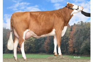 Dcera Zilli