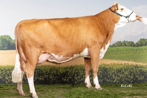 Dcera Saskia - 100 dnů - 3 030 kg mléka