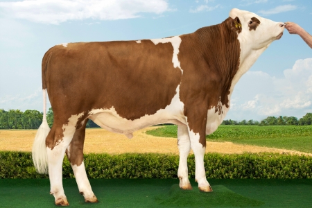 byk-megastar-pp-1