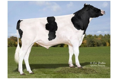 byk-altadobby-1