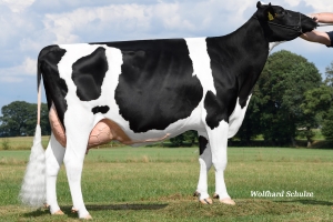 4. G. - Renate VG-88
