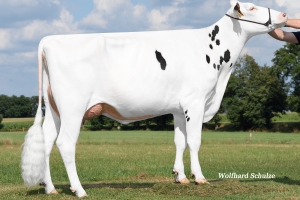 Prababička - Rena VG-86
