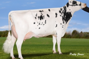 Gen-I-Beq Shottle Bombi EX-94  je v 7. generaci Skinnyho PP