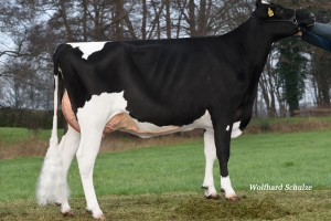 Prababička Realpowera