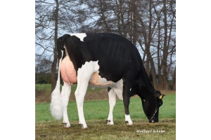 Prababička Realpowera