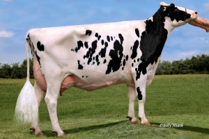 Zakladatelka rodiny Real Life