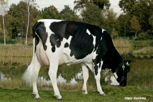 Praprababička Neblina VG-87