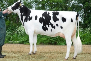 Babička - Nelleke VG-87