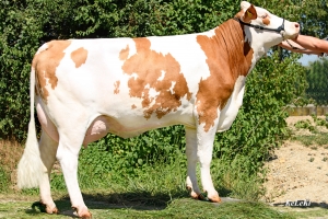 Plná sestra McGyvera - Kleopatra