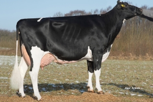 Babička - SH Joste, VG-86