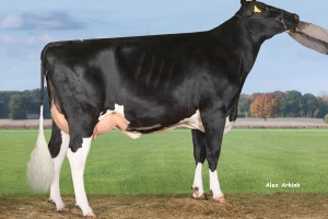 Prababička SH Model Josi VG-87