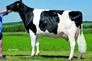 Praprababička Noma VG-89