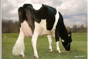 Benwick pochází z rodiny DE-Su BW Marschall Georgia EX-90