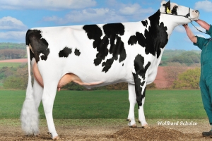 Prababička Airline VG-85