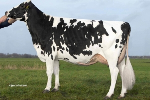 Prababička Wave EX-90