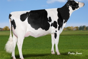 Prabába Spring RDC VG-85