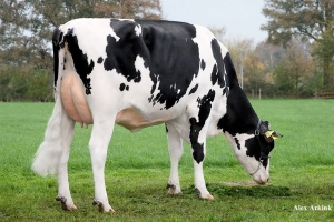 Prababička - Manders Dellia GP-84