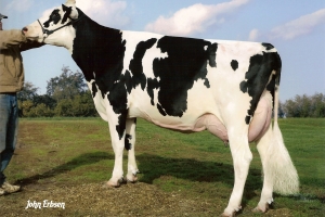 De-Su Oman 6121 VG-86, 6-tá generace Pancha